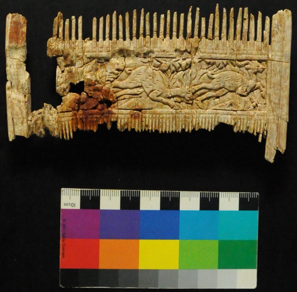 Frühmittelalterliches Kammfragment aus Elfenbein aus Bestattung, Deiningen, Lkr. Donau-Ries: Konservierung und Restaurierung (Rückseite)