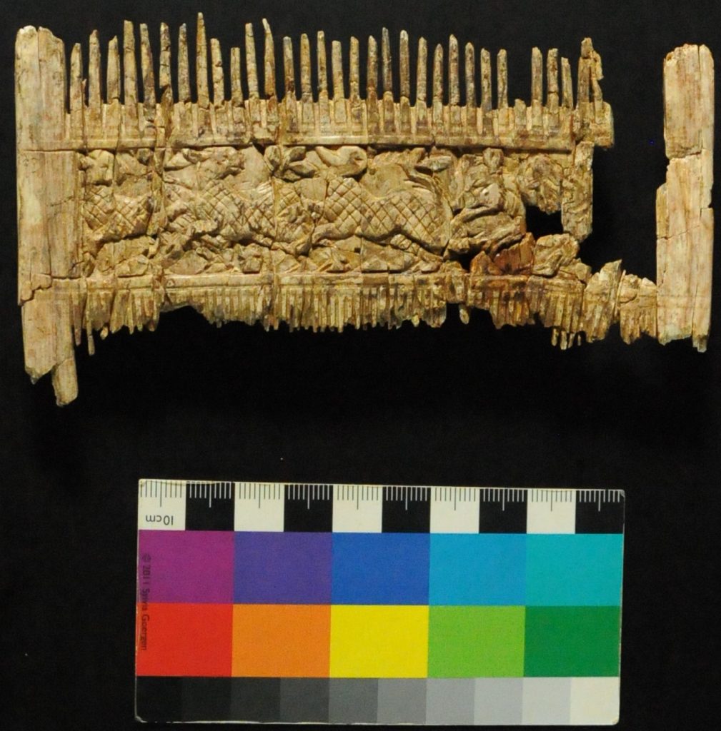 Frühmittelalterliches Kammfragment aus Elfenbein aus Bestattung, Deiningen, Lkr. Donau-Ries: Konservierung und Restaurierung (Vorderseite)